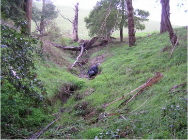 Example of Creekside GGE Habitat