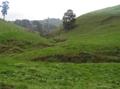 Example of Creekside GGE Habitat