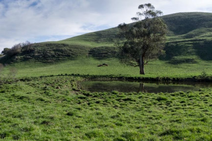 Example of GGE Habitat on South Facing Hillslopes