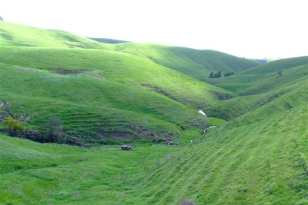 Example of GGE Habitat on South Facing Hillslopes