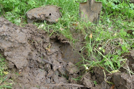 Typical Blue Grey Clay Soils Of GGE Habitat In The South Of Their Range