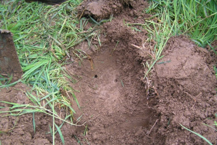 Red Clay Soils More Common Around Warragul And Drouin