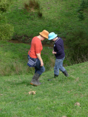Stomping For Worm Gurgles