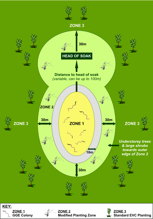 ZONE 1 ZONE 2 Distance to head of soak (variable, can be up to 100m)   HEAD OF SOAK 30m 30m ZONE 3 ZONE 3 ZONE 3 10m Understorey trees& large shrubstowards outer edge of Zone 2   30m 30m ZONE 1 GGE Colony ZONE 3 Standard EVC Planting KEY: ZONE 2 Modified Planting Zone