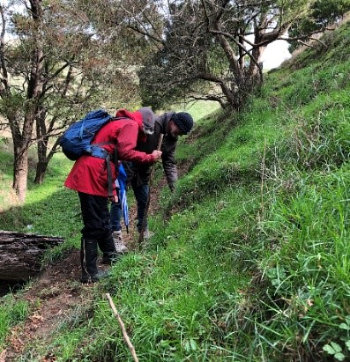 Listening for and recording GGE habitat locations