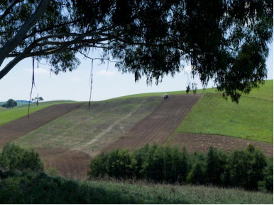 Preparation For Crop Planting