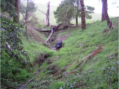 Example of Creekside GGE Habitat