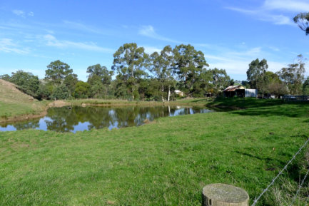 Dam Building